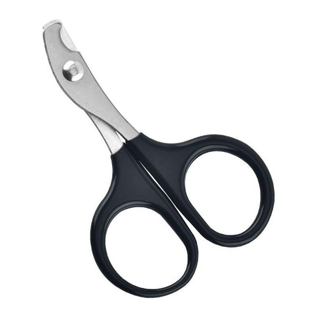 Cat scissors Juto 1