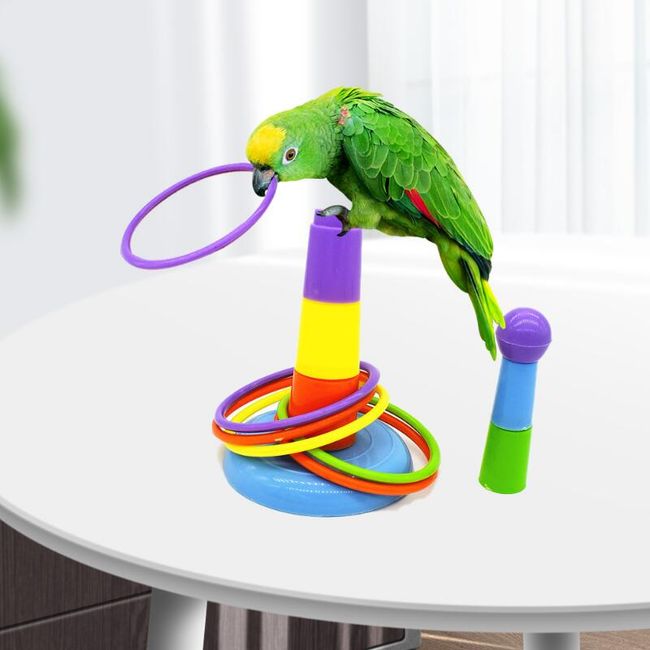 Toy for birds Diel 1