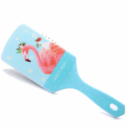 Hair brush B06201