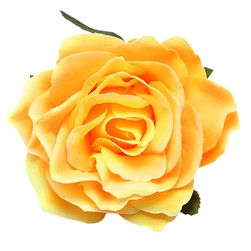 Hajgumi rózsával - 10 változat