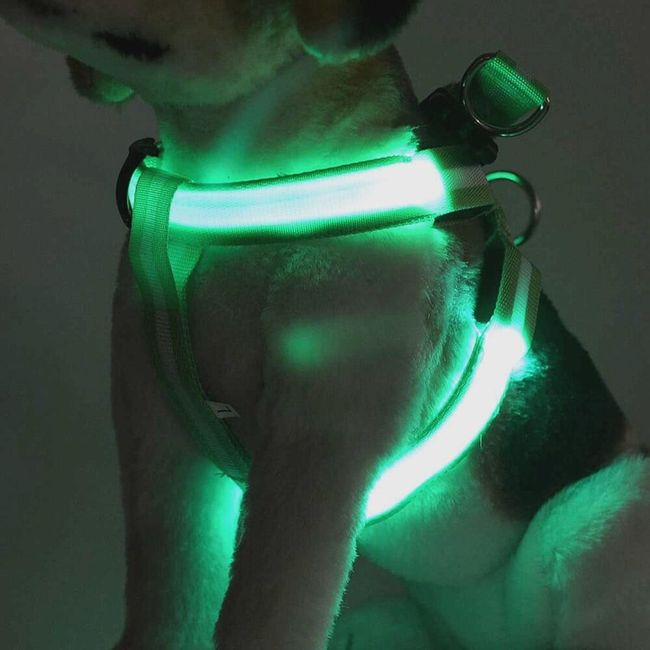 LED szalagok a kutyának Sun 1