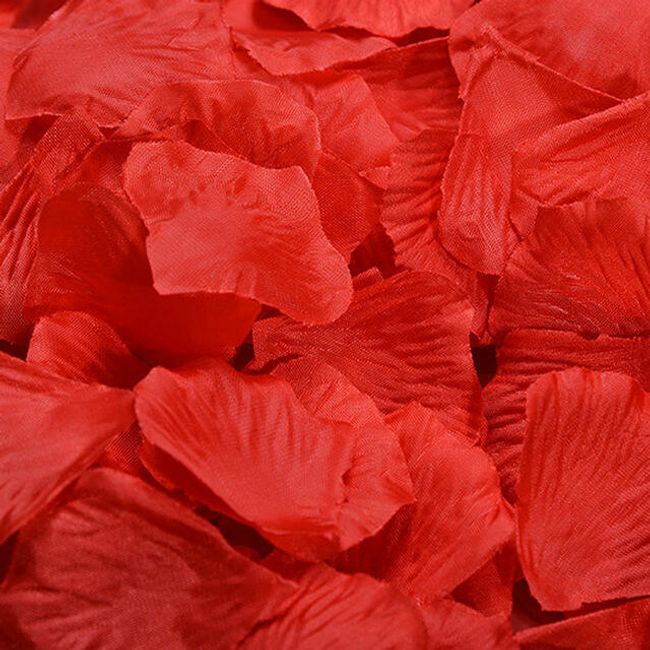 Kolorowe płatki róż - 1000 sztuk 1