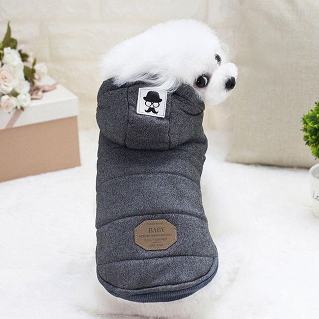 Dog clothes Azor 1