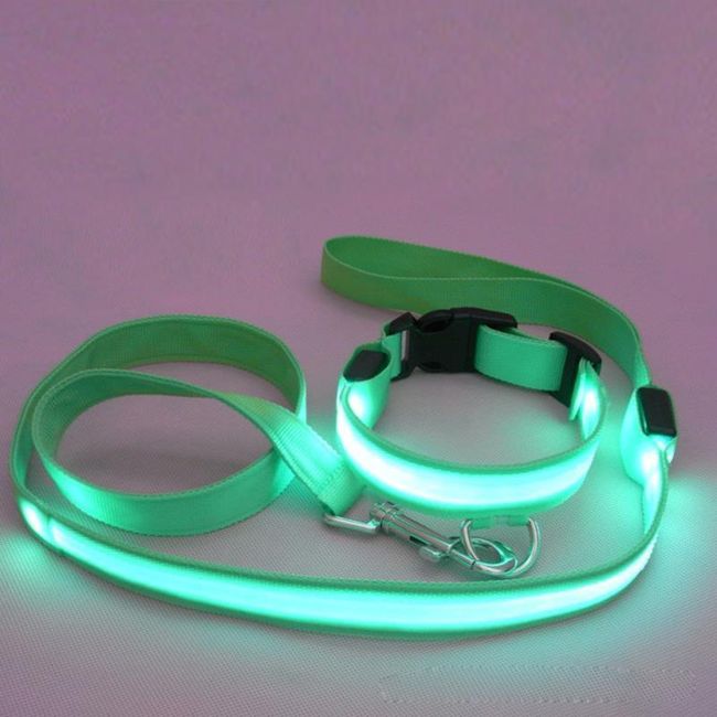 LED nyakörv és póráz készlet - 5 színben 1