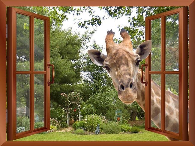 3D samolepka na zeď B05743 1
