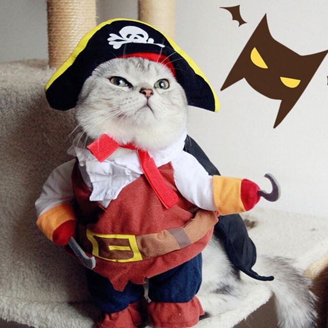 Smešen piratski kostum za pse in mačke - 3 velikosti 1