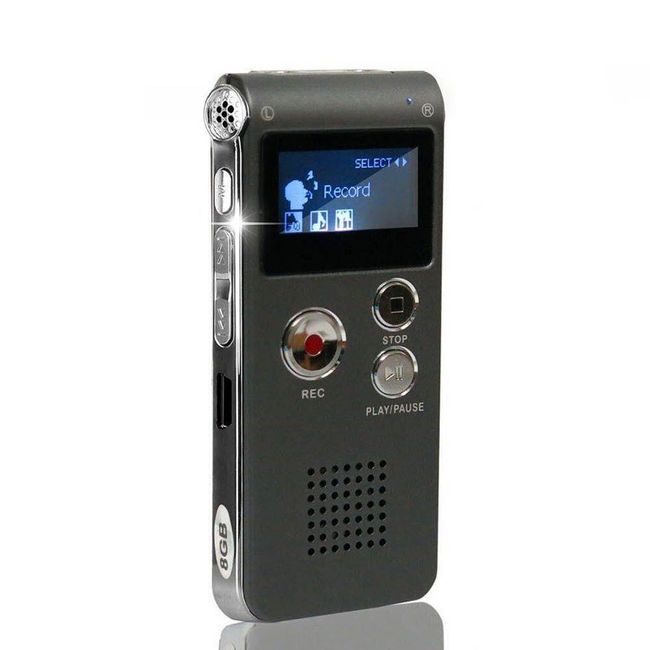 Voice recorder DR01 1