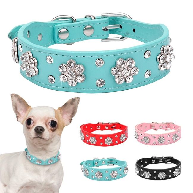 Dog collar TF3808 1