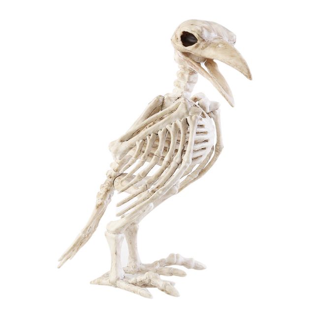 Decorațiuni de Halloween - schelet de corb 1