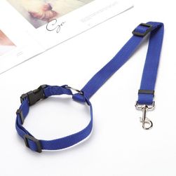 Car dog seat belt Stay