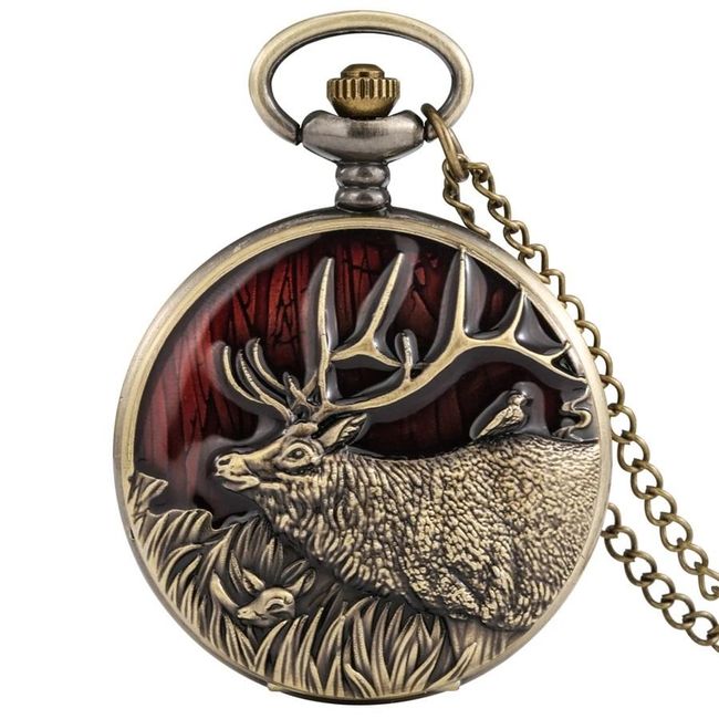 Pocket watch Hunter 1