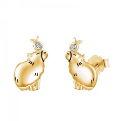 Women´s earring WA36