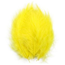 Colourful feathers C100