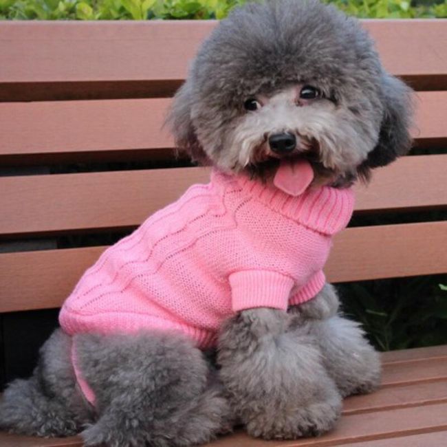Плетен пуловер за кучета 1