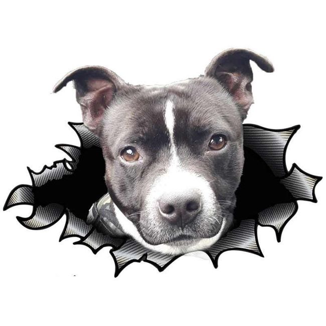 Samolepka na auto American Staffordshire Terrier 1