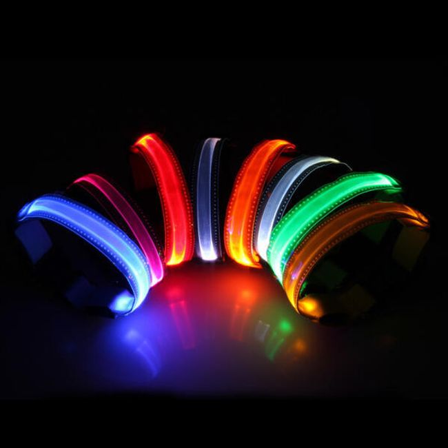 Svietiace LED obojok - 4 veľkosti, 8 farieb 1