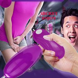 Ou vibrator cu controler Valerie