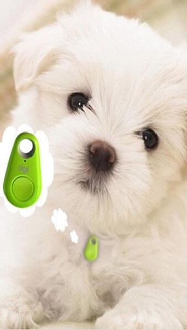 Bluetooth védelem háziállatokhoz és poggyászhoz 1