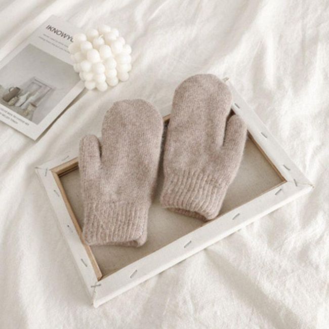 Mănuși de iarnă pentru femei Safa 1
