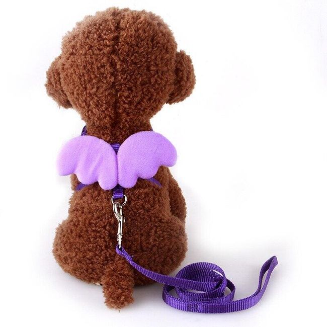 Set of harness and leash for cats and small dogs Angel 1