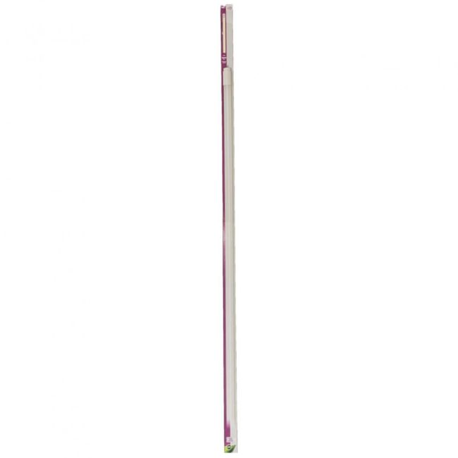 LED XQ-lite ZO_FDW170425001 1