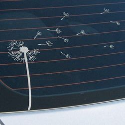 Samolepka na auto Dandelion