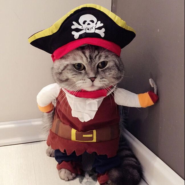 Obleček pro kočky - pirát 1