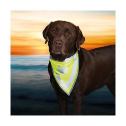 Reflexní vesta - šátek pro psy do 15 kg ZO_57826