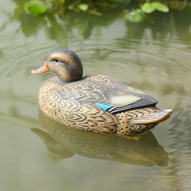 Dekorácia na záhradu - plávajúce kačica 1