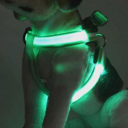 Ham LED pentru câine Sun