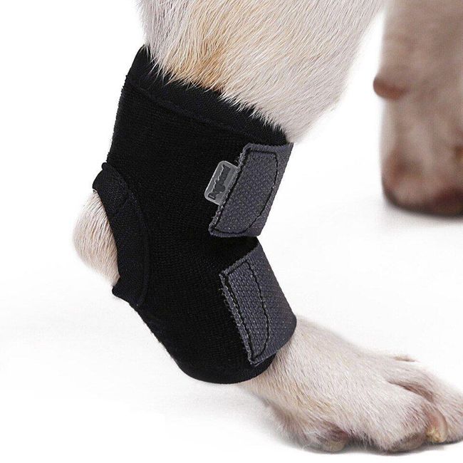 Dog leg brace Jenny 1