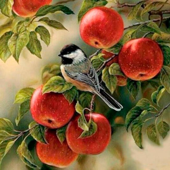 Imagine 5D fără ramă 40 x 30 cm - Pasăre în măr 1