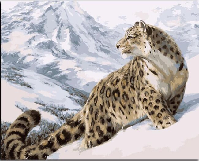 Malování podle čísel - leopard 1