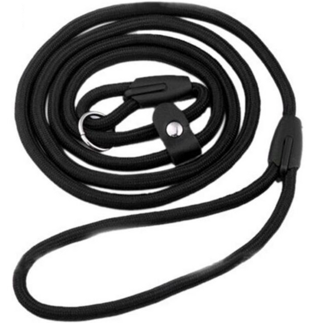 Dog leash Dina 1