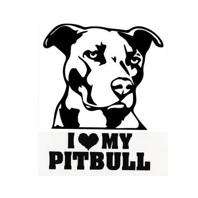 Naklejka na samochód- pitbull 1