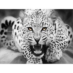 DIY obraz s leopardem