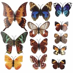 3D nalepovacie motýliky - 25 variantov