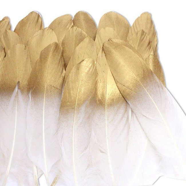 Decorative feathers FE01 1