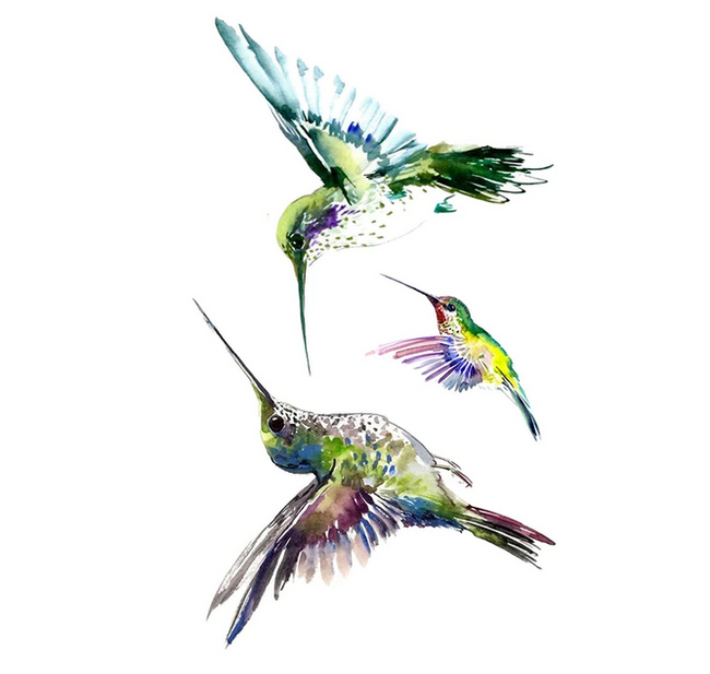 Временна татуировка Hummingbird 1