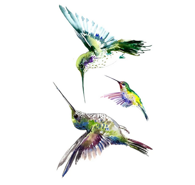 Tatuaj temporar Hummingbird 1