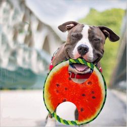 Játék kutyáknak - görögdinnye