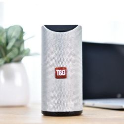 Portable wireless speaker TG113