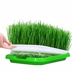Купа за отглеждане на трева (2 броя) - различни цветове