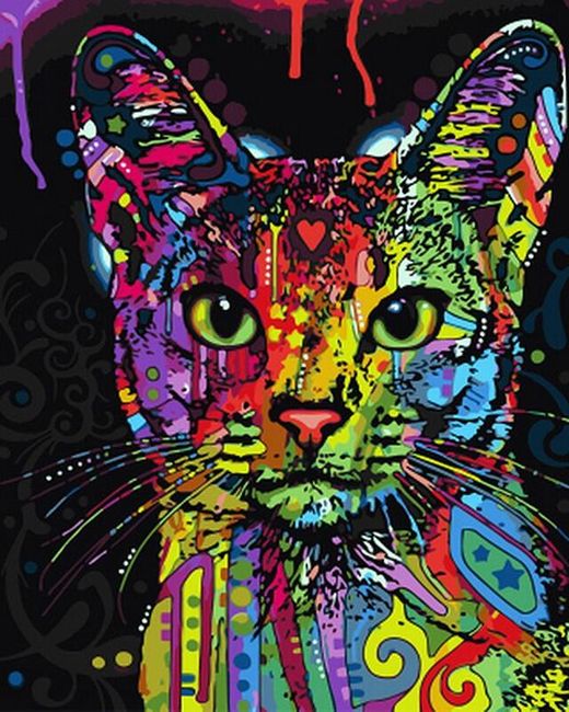 Malování podle čísel - pestrobarevná kočka 1