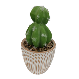 Malý kaktus v květináči jako skutečný ZO_272210