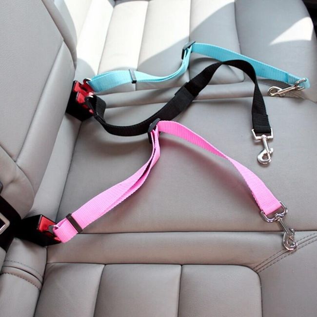 Pet seat belt TF4667 1