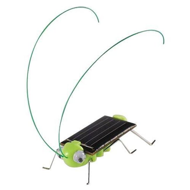 Solarna igrača v obliki kobilice 1