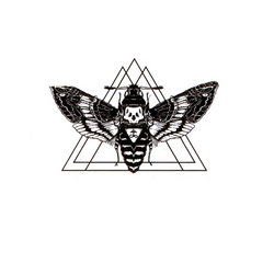 Tymczasowy tatuaż Moth