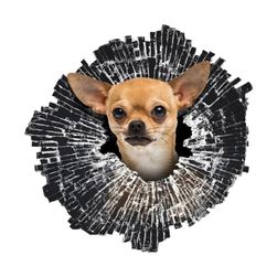 Autós matrica Chihuahua