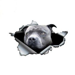 3D-s autó matrica Pitbull